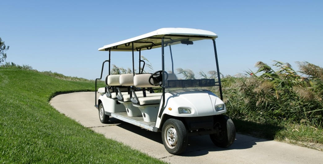 Sightseeing vehicle