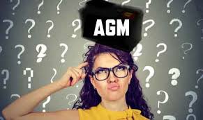 AGM battery