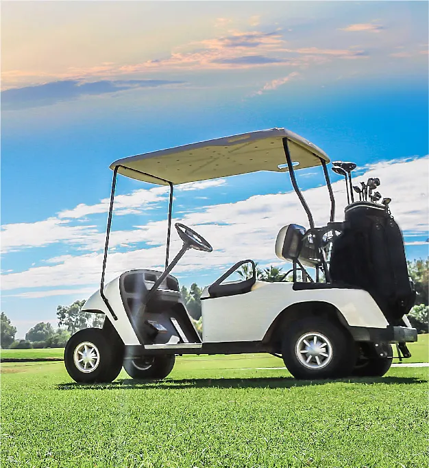 The Role of Lead-Acid Batteries in Electric Golf Carts